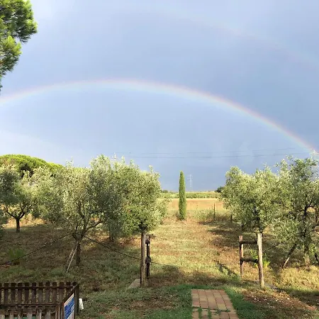 Il Podere Di Sole-3